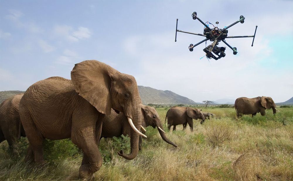 Leveraging AI to Prevent Poaching